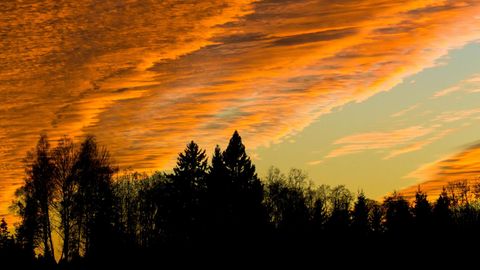 Nädalavahetuse ilm tõotab tulla ilus, uuel nädalal võib tulla vihma