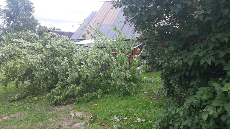 Torm teeb omajagu kurja ka koduaedades ja murrab maha puid.