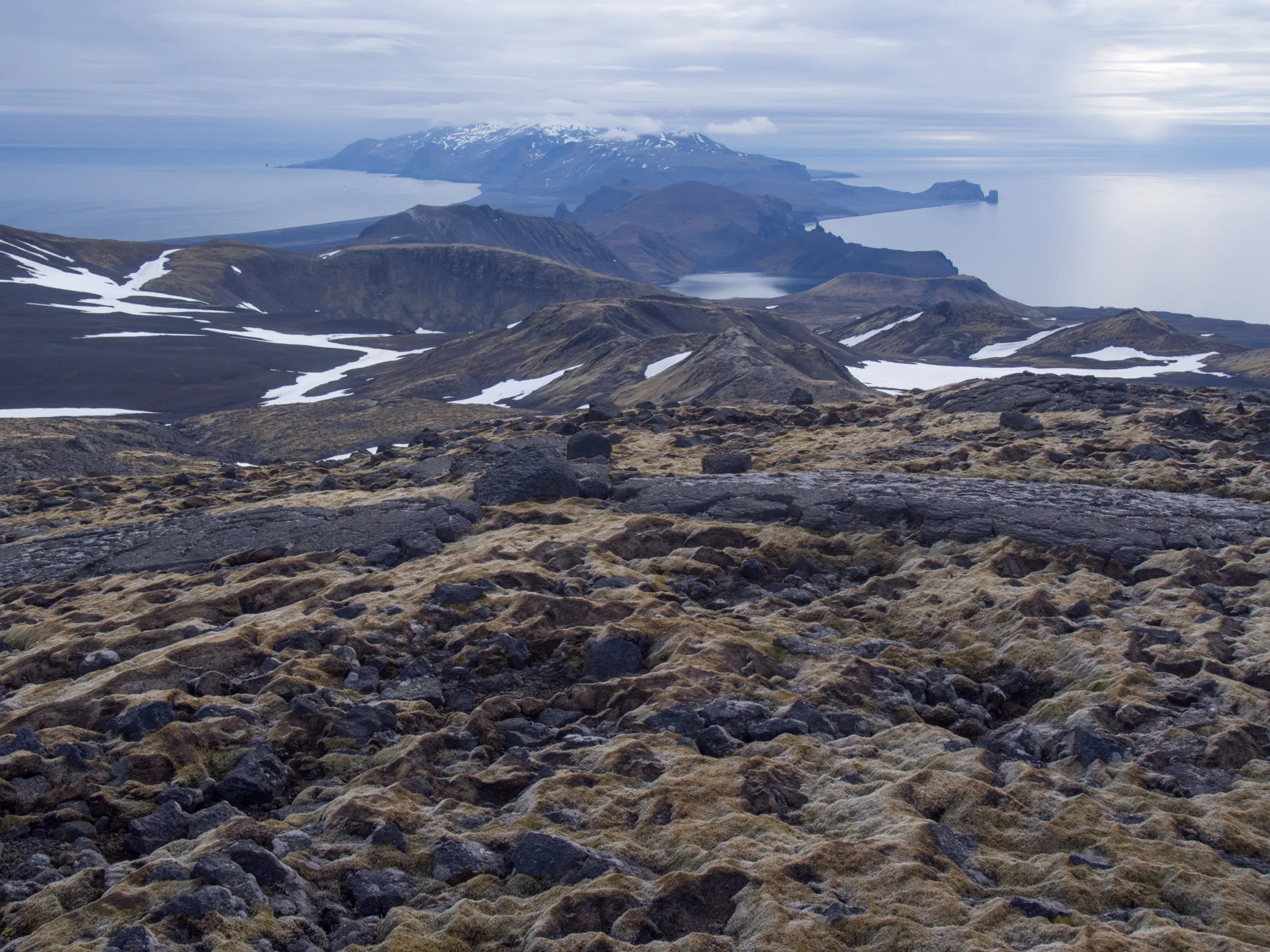 Saarel puid ei kasva, aga selle eest on seal palju niisket sammalt.