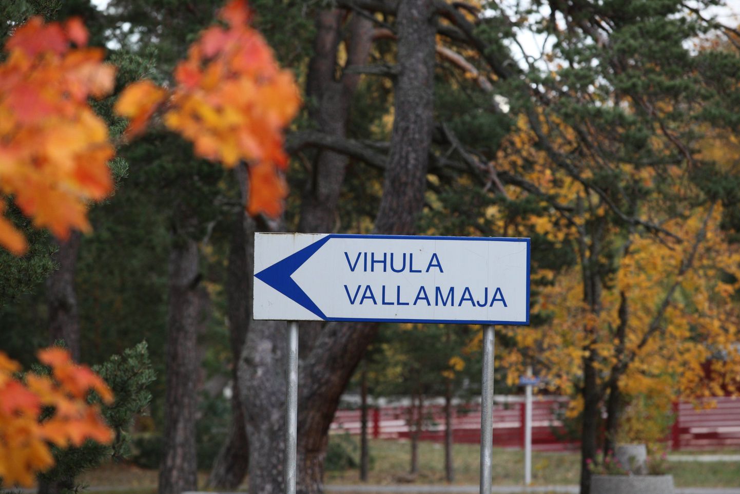Vihula vallavolikogu valimiskomisjon määras seni vallavolikogu juhtinud Vello Väinsalu asemele Heli Hainase.