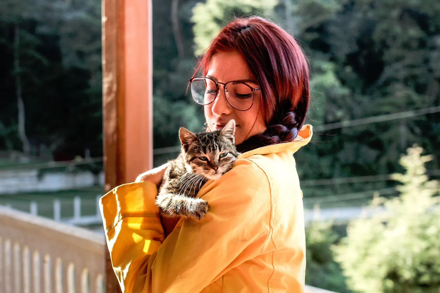 Artikli foto