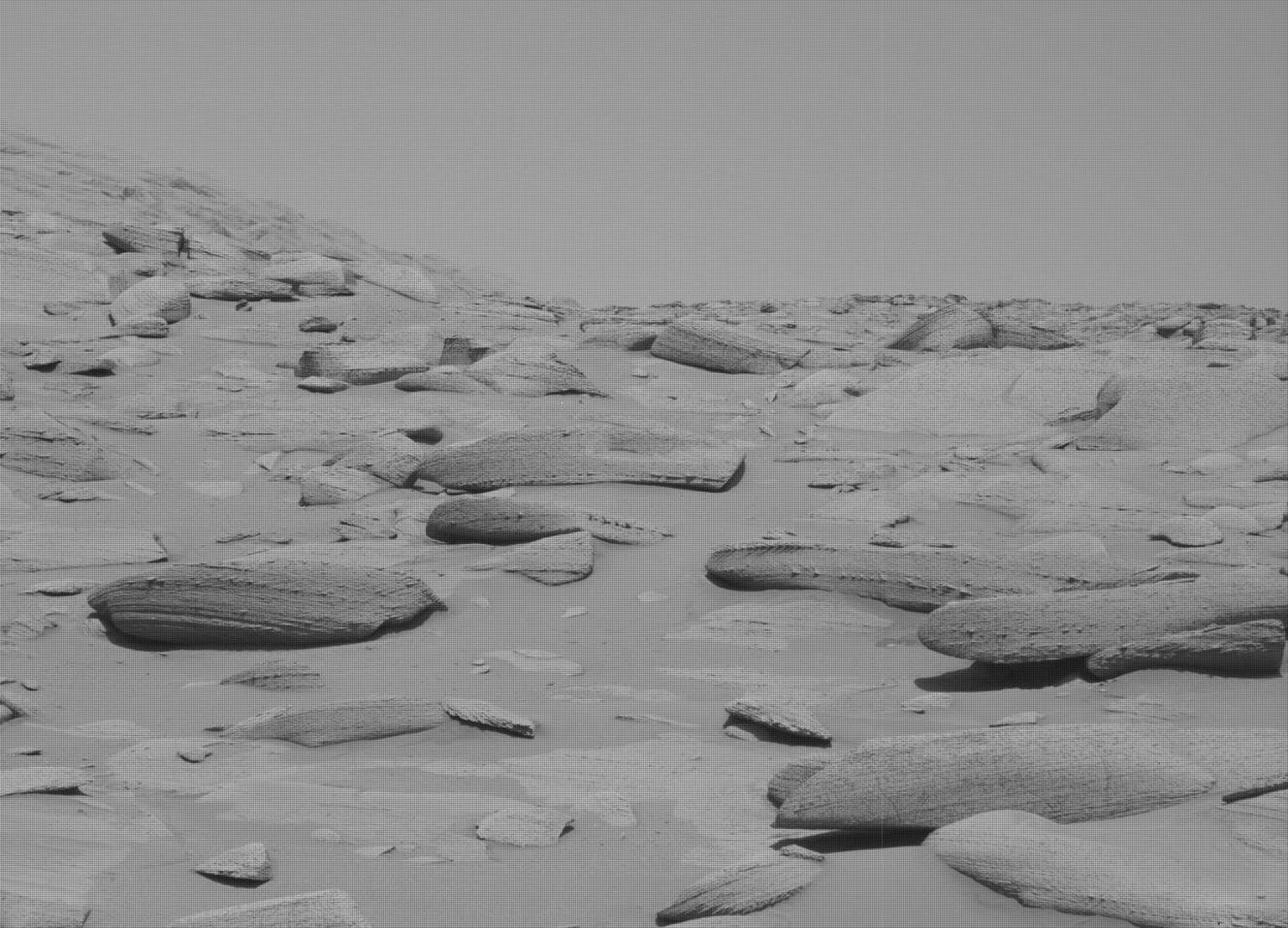 Astrobioloog oli üllatunud: esmapilgul tundub, et Marsi maastikult turritab välja kellegi skelett. Pildil on see näha varjudega pulkade reana keskel veidi paremal.