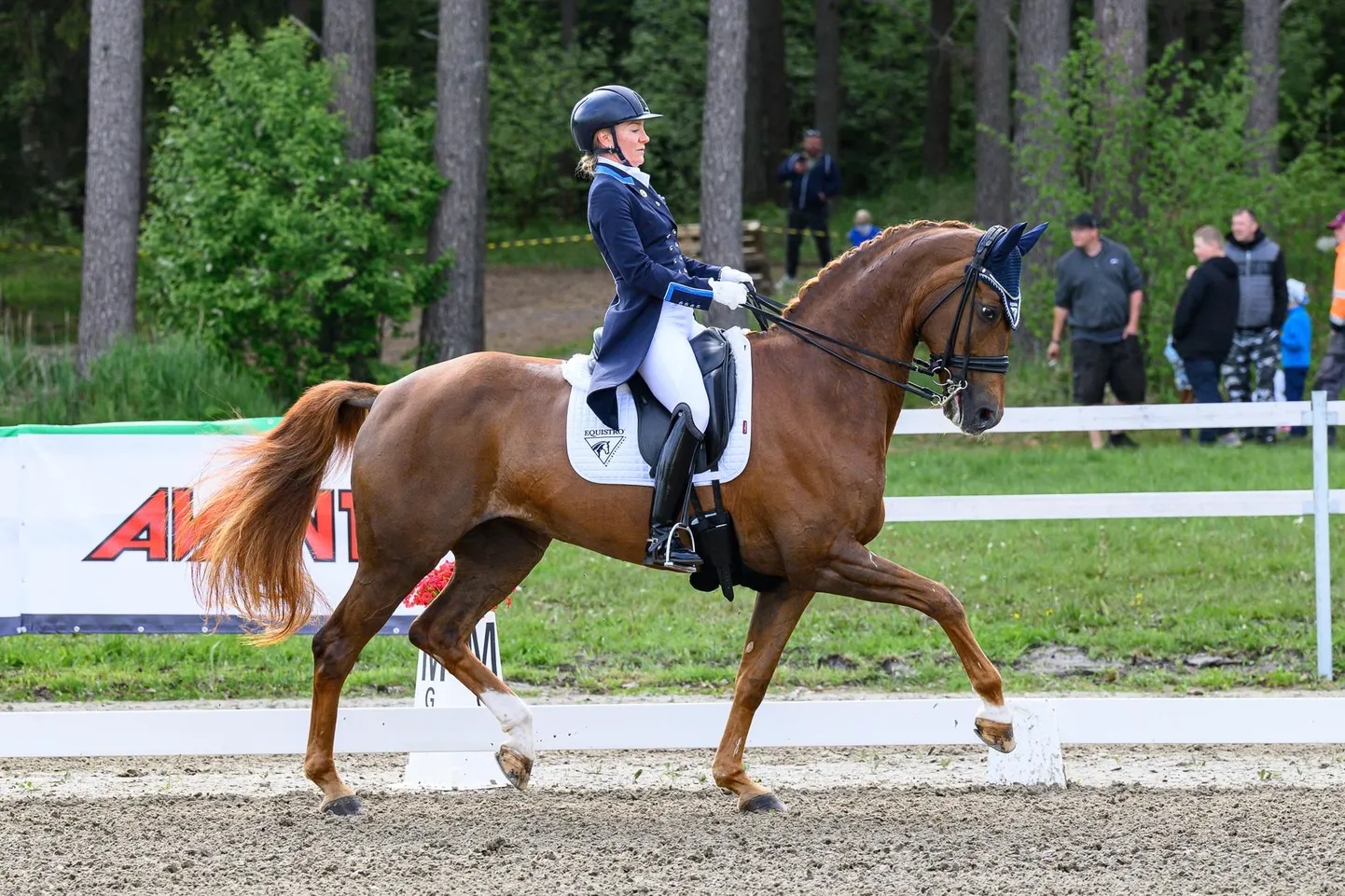 Laupäevase põhisõidu FEI Short Grand Prix võidu viis koju Stella Hagelstam hobusel Mount St John Kom Fairy Tale.
