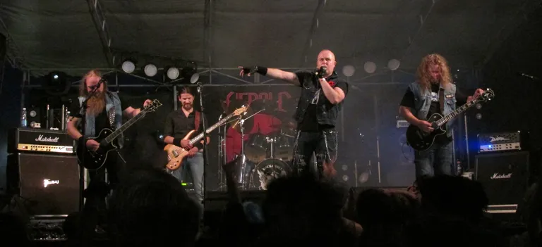 Herald esinemas Punk & Rock festivalil Tartus.