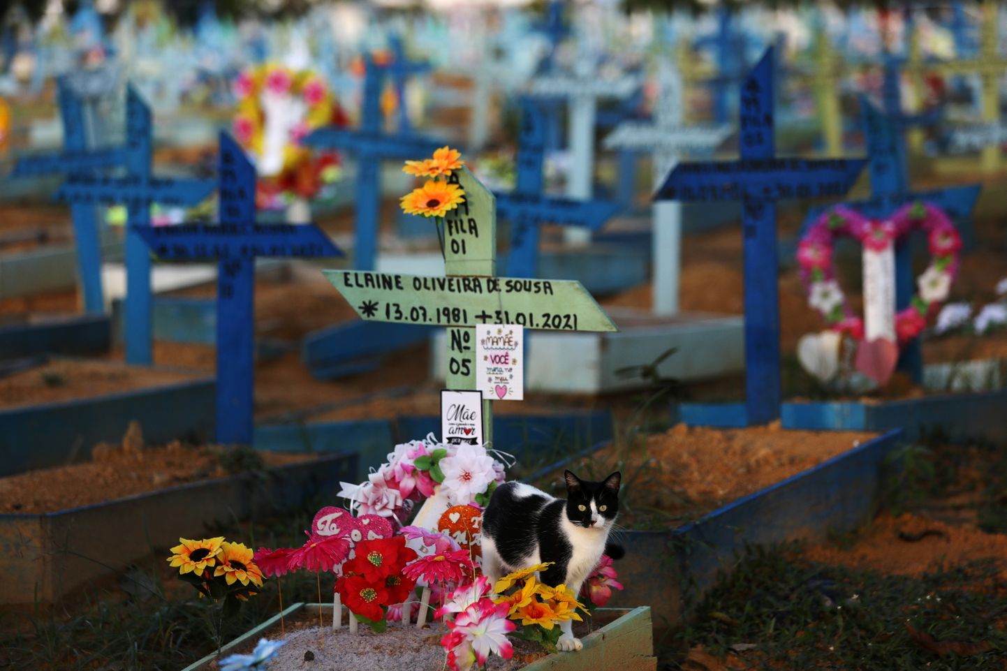 Koroonaviiruse tagajärjel surnud inimeste hauad Parque Taruma kalmistul Brasiilias Manausis.