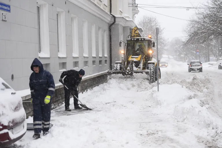 Lumekoristus Tallinnas. Foto: