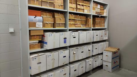 MATTIAS JÕESAAR ⟩ Ideed, mis maetakse uuringute kalmistule