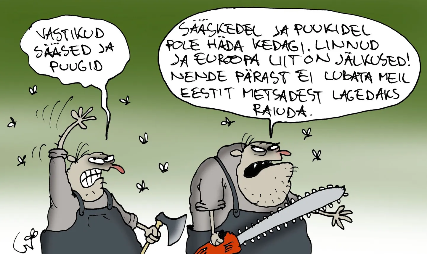 Artikli foto