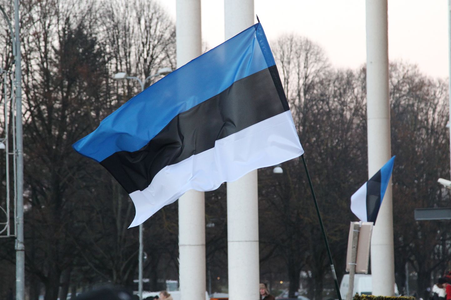 Nõo Reaalgümnaasium ootab Eesti lipu tõlgendusi Vabariigi aastapäevaks.