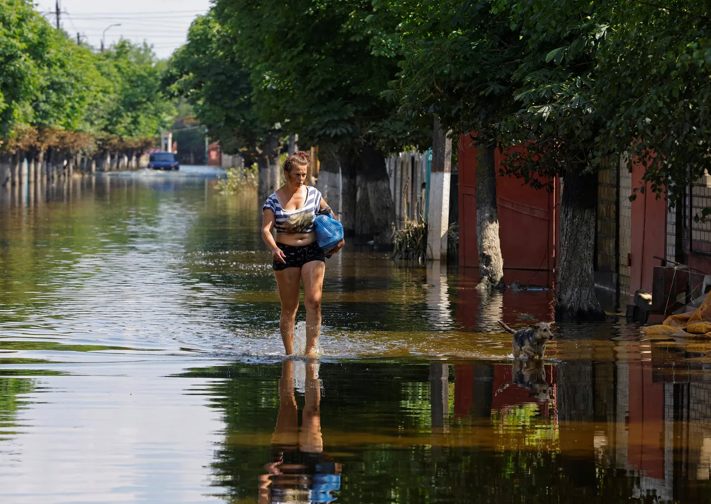 Оккупированный Россией город Голая Пристань после наводнения