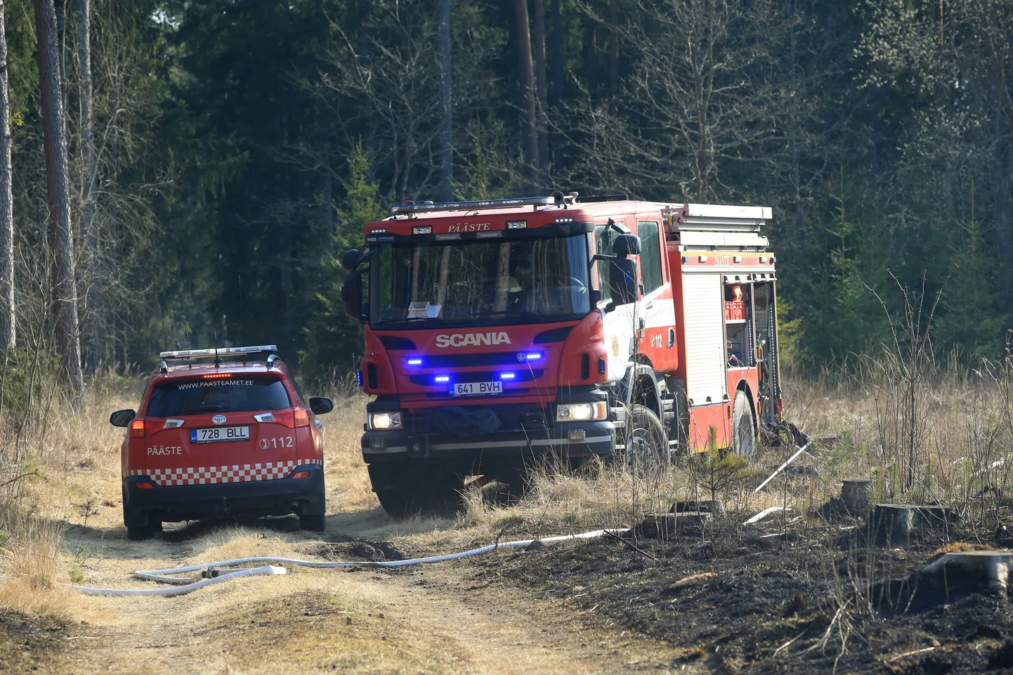 Päästeautod metsatulekahju kustutamas.