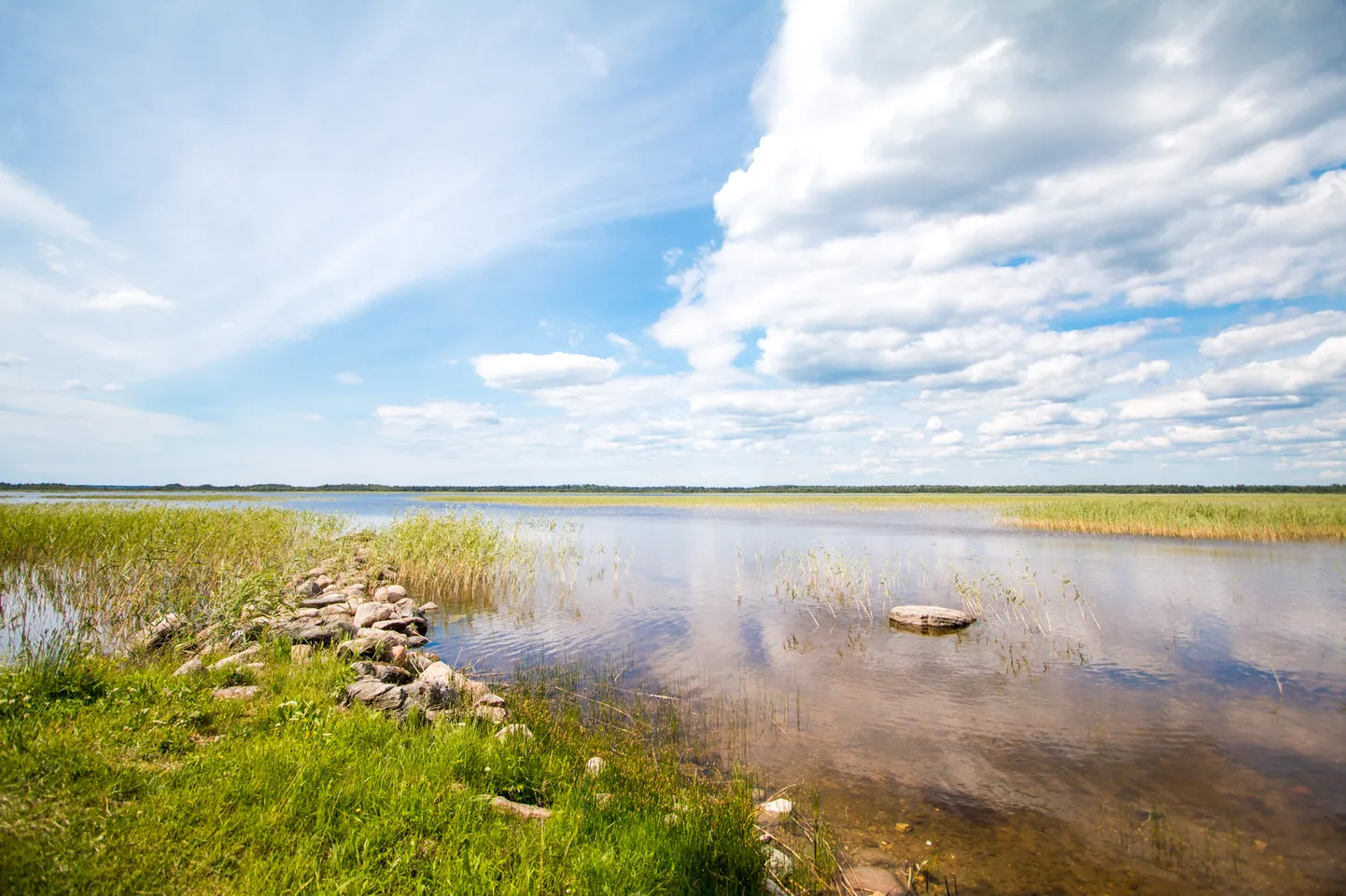 Tõhela järv.