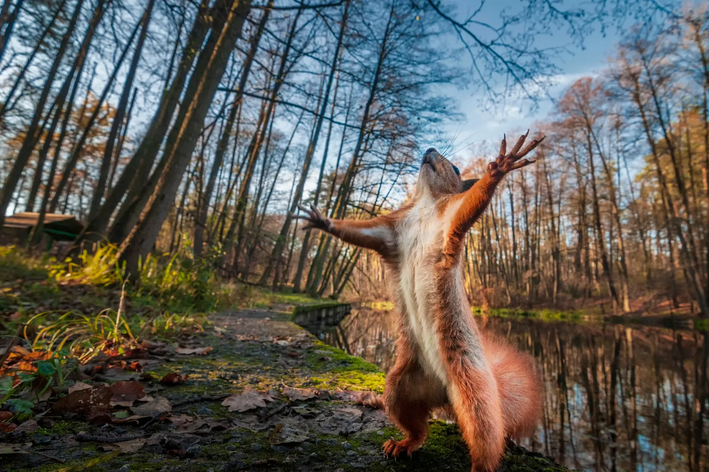 Raksta foto