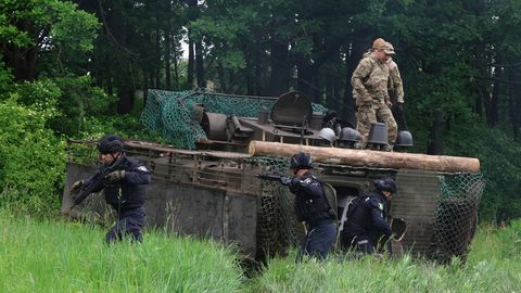 Enamik eurooplasi peab Ukrainat liitlaseks või vajalikuks pa