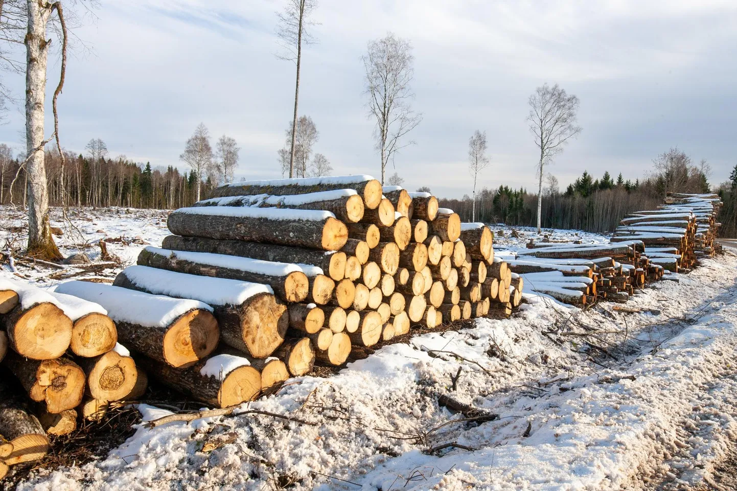 Eriplaneeringu lõpetamine ei tähenda, nagu ei tuleks sellist tehast Eestisse kunagi.