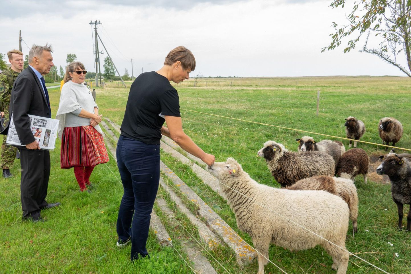 President Kersti Kaljulaidi huvitasid Kihnus looduslikud muruniidukid ehk lambad rannakarjamaal koplis.