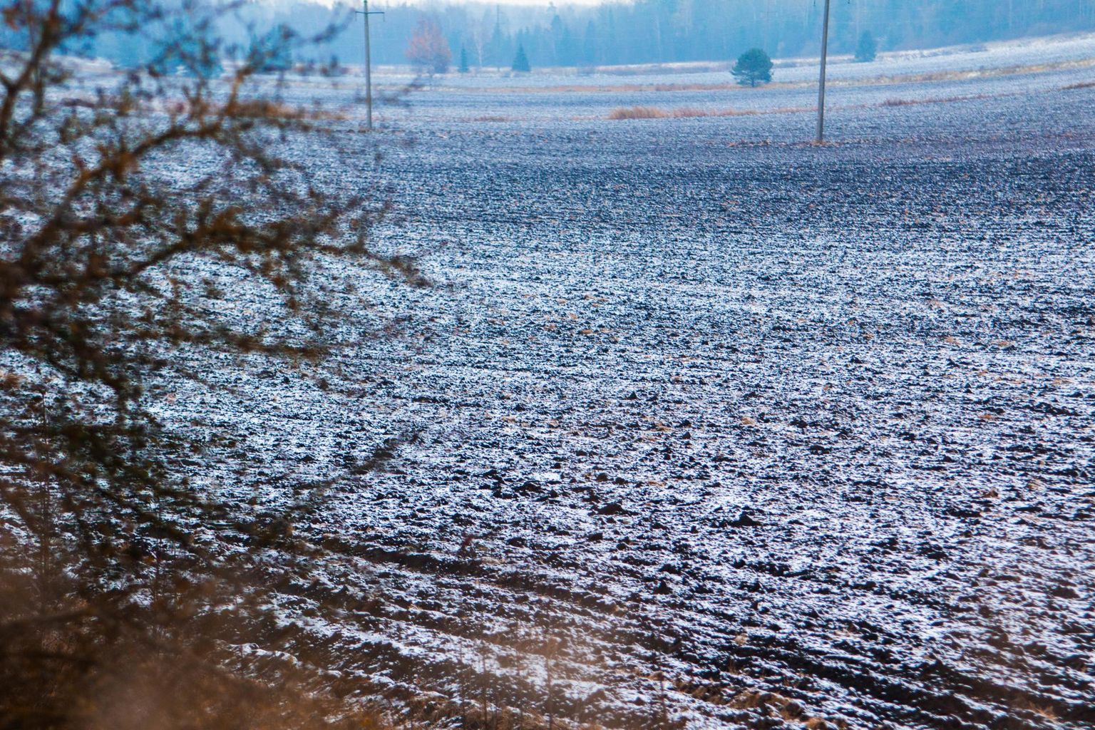 Põllumehed eelistavad pigem külma maad kui lund sula maa peal. Kõige hullem on temperatuuri pidev vaheldumine.