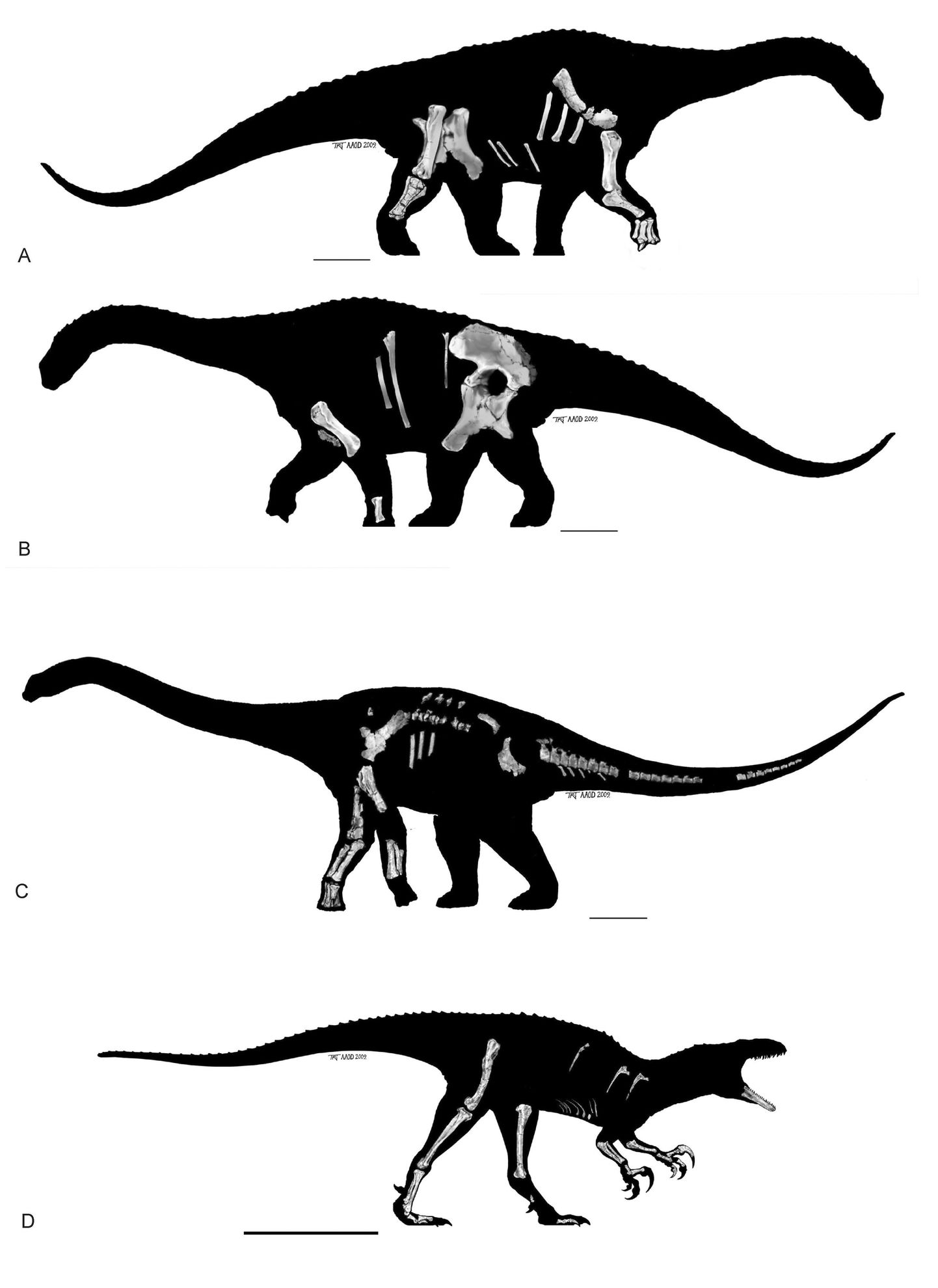 a) ja b) Taimtoiduline diamantinasaurus Matilda
c) Taimtoiduline dinosaurus wintonotitan, hüüdnimega Clancy
c) Lihasööja australovenator, hüüdnimega Banjo.