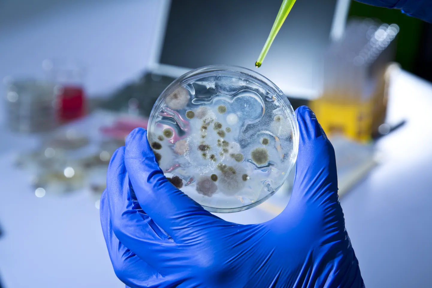 Ebola viirus. Pilt on illustreeriv.