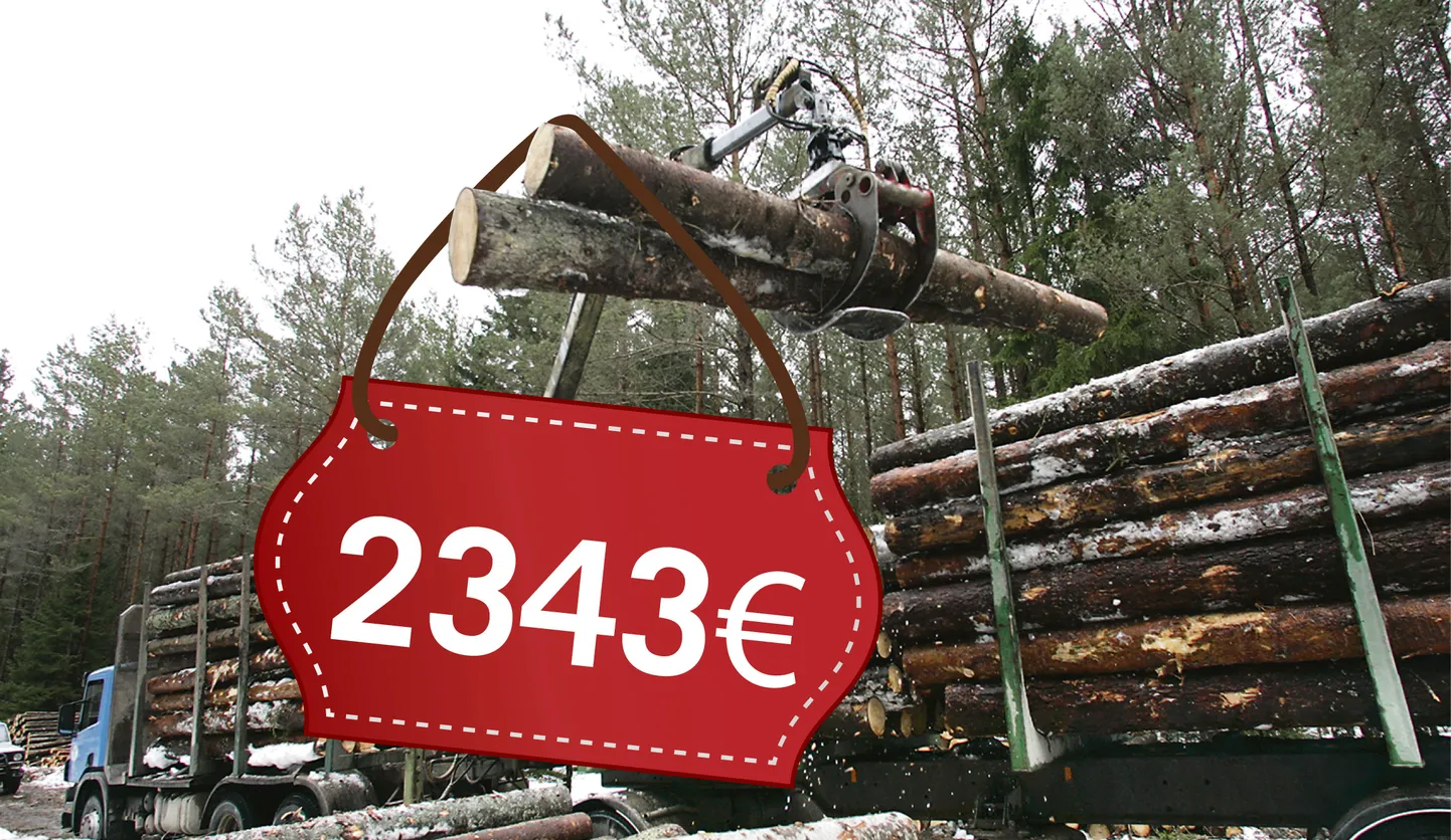 Äripäeva reastatud Eesti paremate palgamaksjate edetabeli järgi teenivad töötajad osaühingus AP Metsatööd keskmiselt 2343-eurost brutopalka. Võrdluseks võib tuua Viljandi keskmise brutotasu, mis on 1024 eurot.
