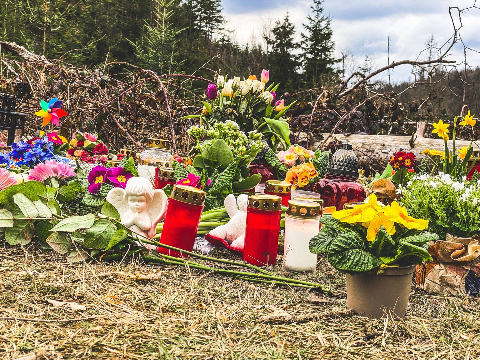 Märtsis mõrvatud Luise leiupaiga lähedale viidud lilled ja küünlad.