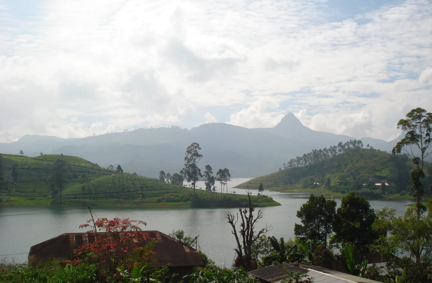 Sri Pada püha mäetipp (pildil) on vaid üks Sri Lanka paljudest vaatamisväärsustest.