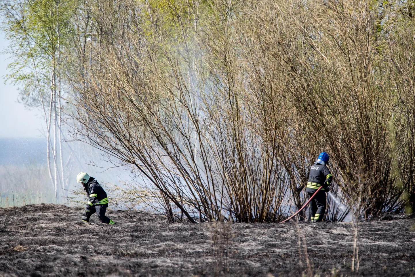 Eile lõuna paiku läks Lindi külas põlema kulu, mille kustutamiseks kulus päästjatel pea kaks tundi.