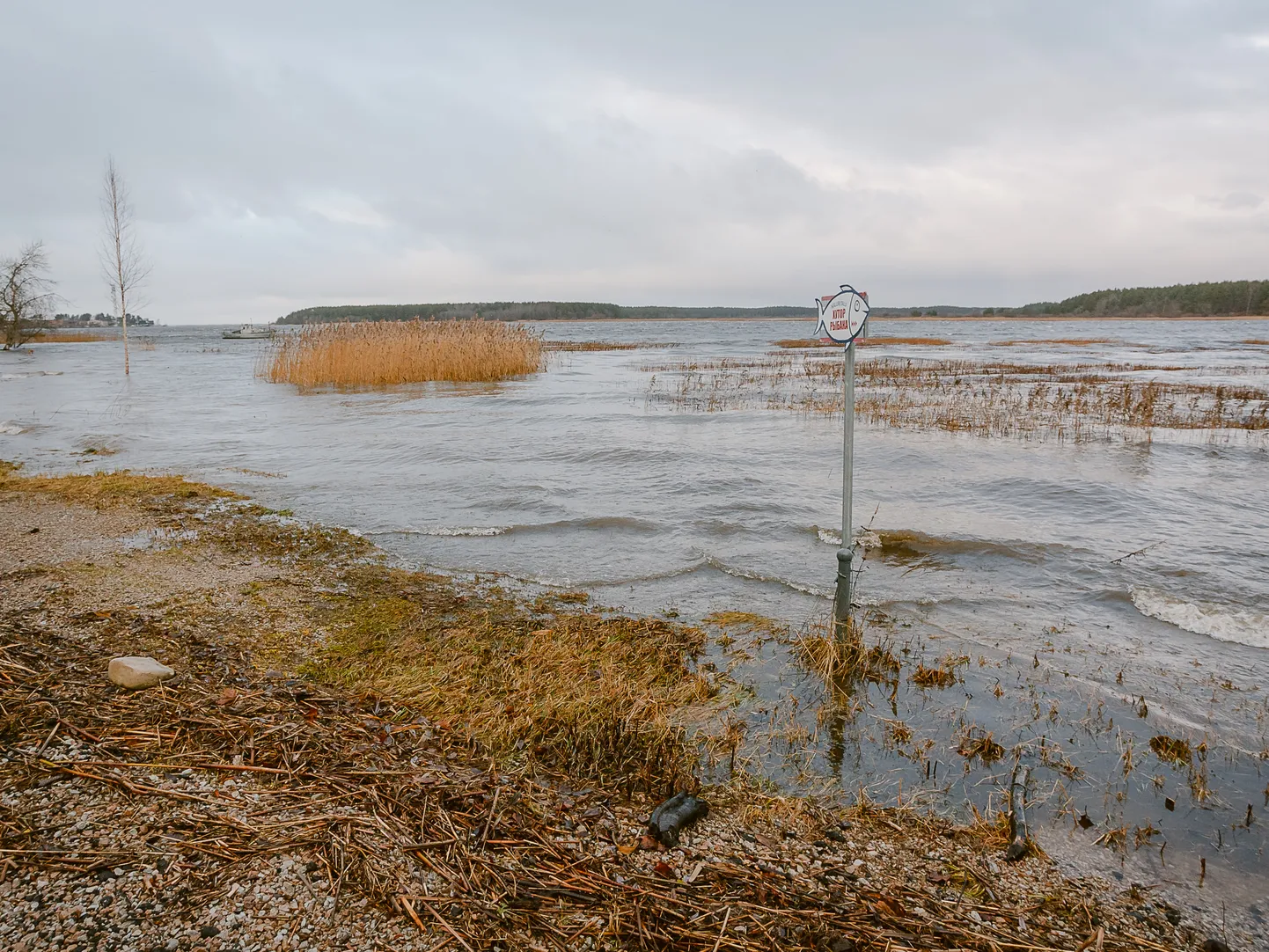 2015. aasta detsembritorm ujutas üle Narva-Jõesuu rannaalad.