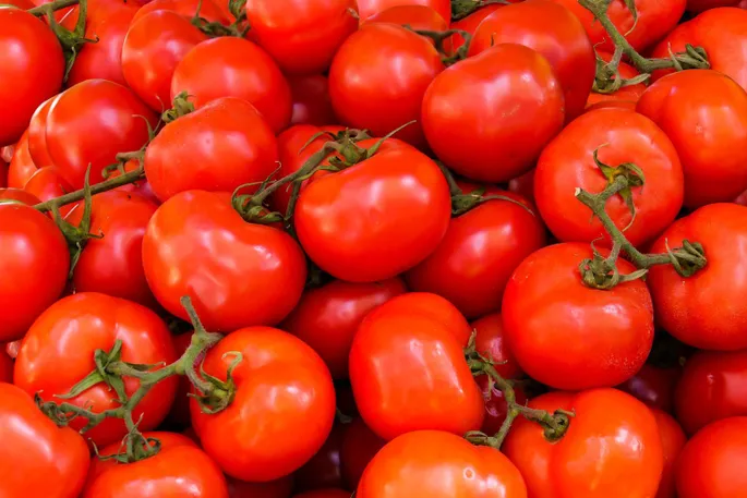 Почему магазинные помидоры стали безвкусными? Ответ найден