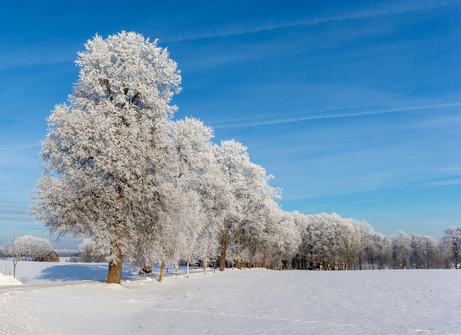 Euroopa Keskuse prognoos on jäänud kindlaks paljuaastasest keskmisest vaid veidi pehmemale talvele: jaanuar peaaegu keskmine, veebruar ja märts umbes pool kraadi keskmisest soojemad.