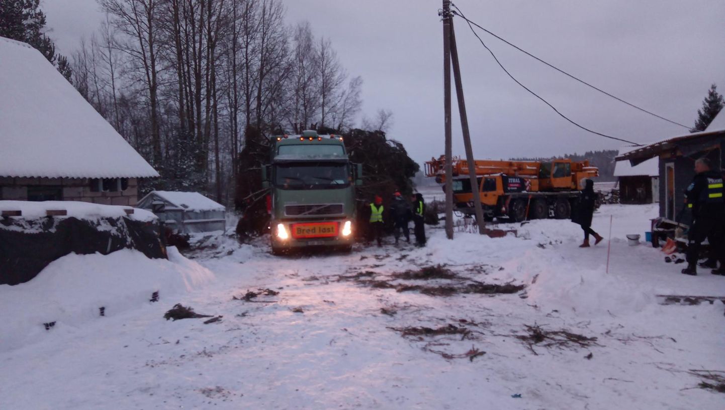 Aega läks, aga Tartu jõulupuu sai teisipäeva õhtupoolikul veoki peale. Sõit ei alanud siiski kohe, sest auto pidurid jukerdasid.