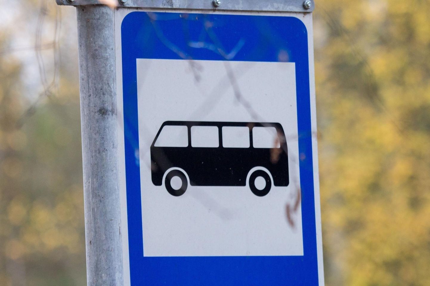 Bussipeatust tähistav liiklusmärk.