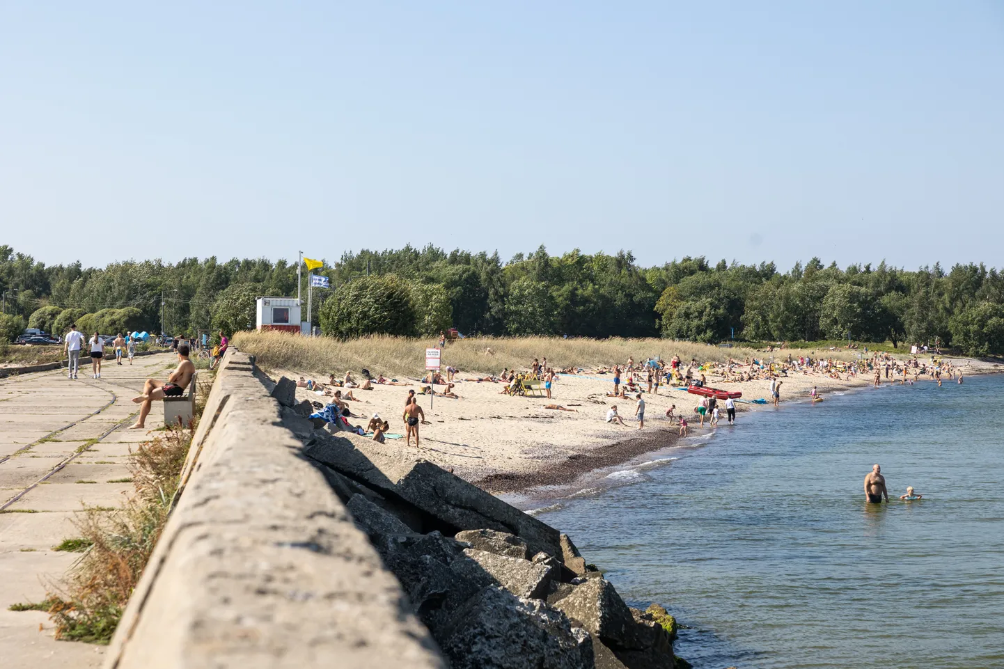 FOTO «Keegi oskab öelda, mis need on?» Tallinnas Pikakari rannast ...