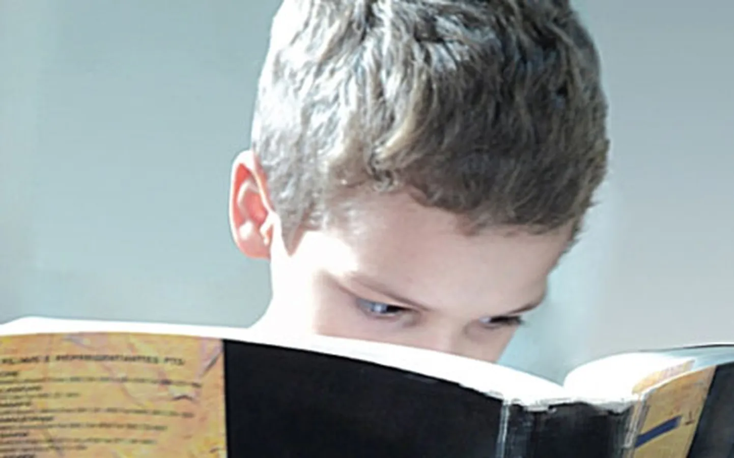 Raksta foto