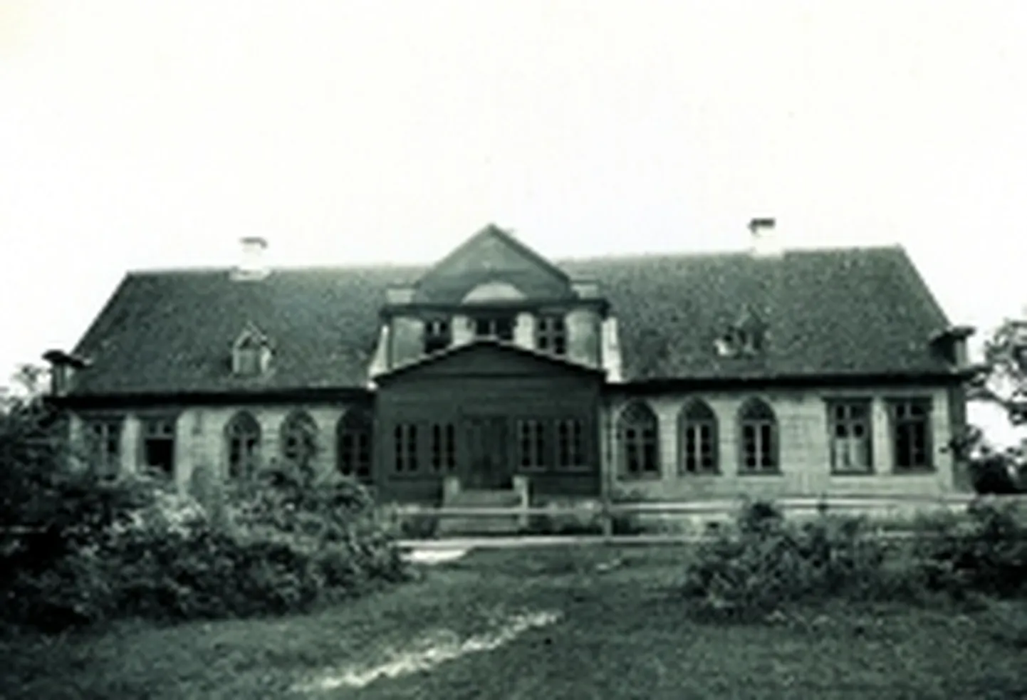 Artikli foto
