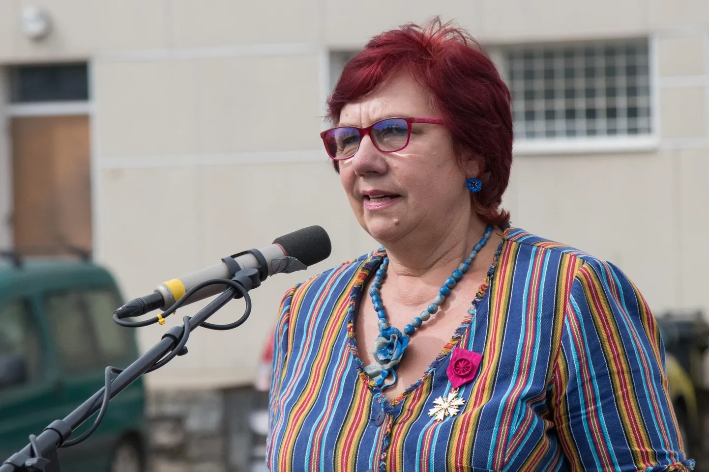 Ene Saar, Viljandi abivallavanem