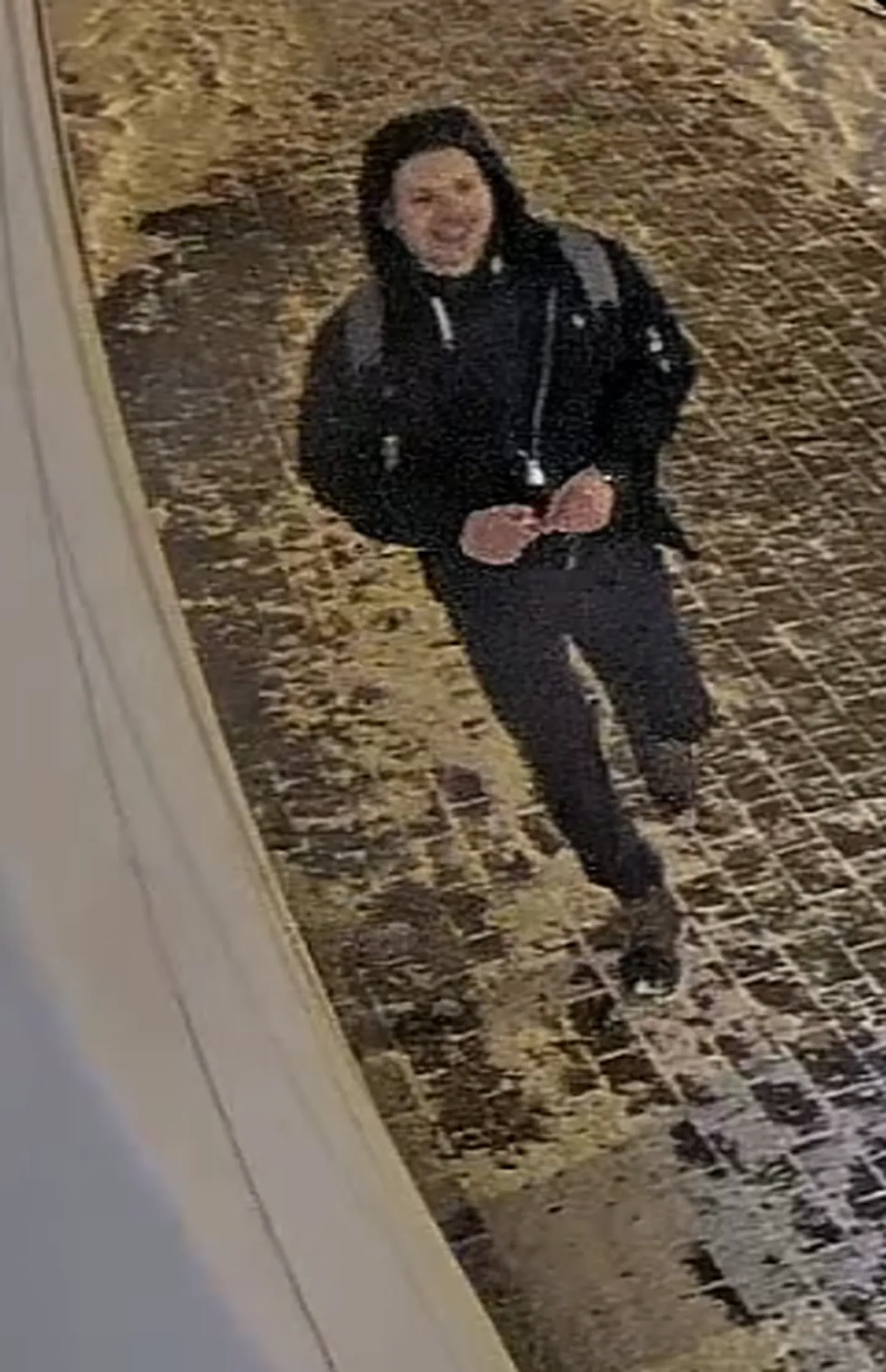 Raksta foto