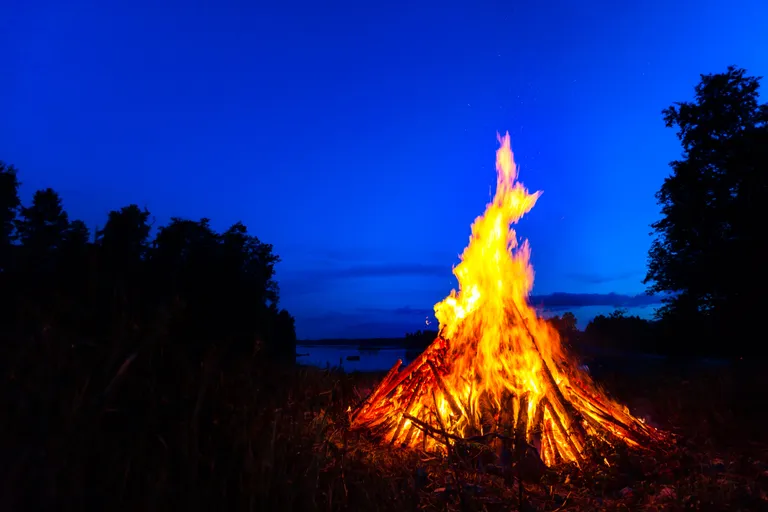 Jaanilõke. Pilt on illustreeriv