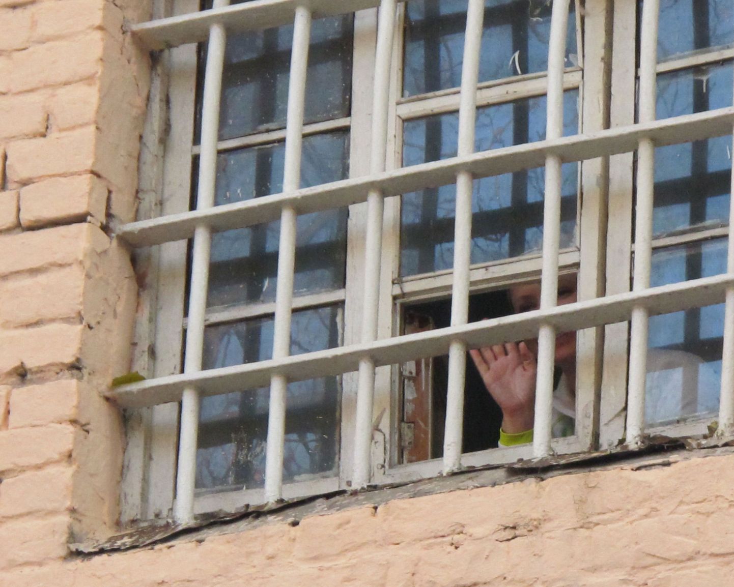 Ukraina endine peaminister Julia Tõmošenko kinnipidamisasutuse aknal.
