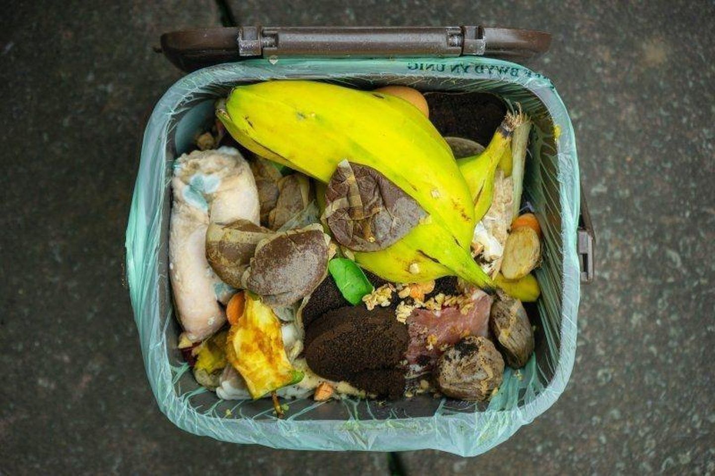 Et biojäätmete sortimisest oleks kasu, tuleks need konteinerisse panna lahtiselt ja kilekott visata olmejäätmetesse.