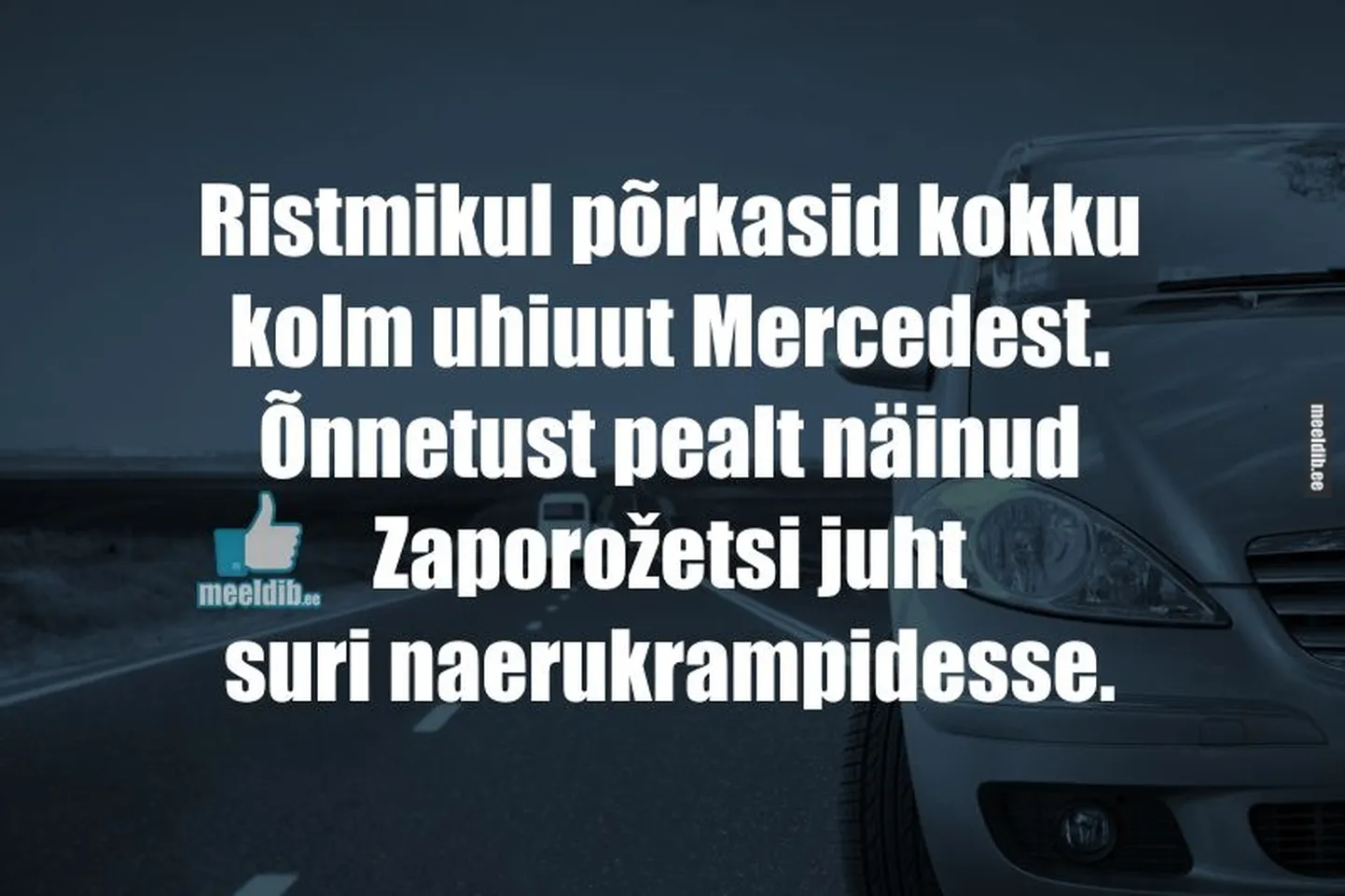 Artikli foto