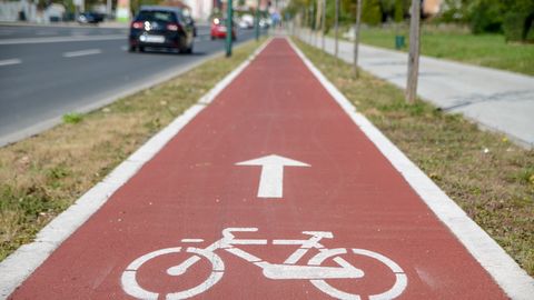 Riški svet bo predlagal zmanjšanje števila dreves za kolesarsko pot