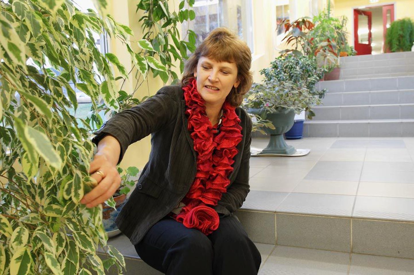 Majandusjuhataja Merike Kuke arvates on Holstre koolil põhjust rikkaliku taimekollektsiooni üle uhkust tunda.