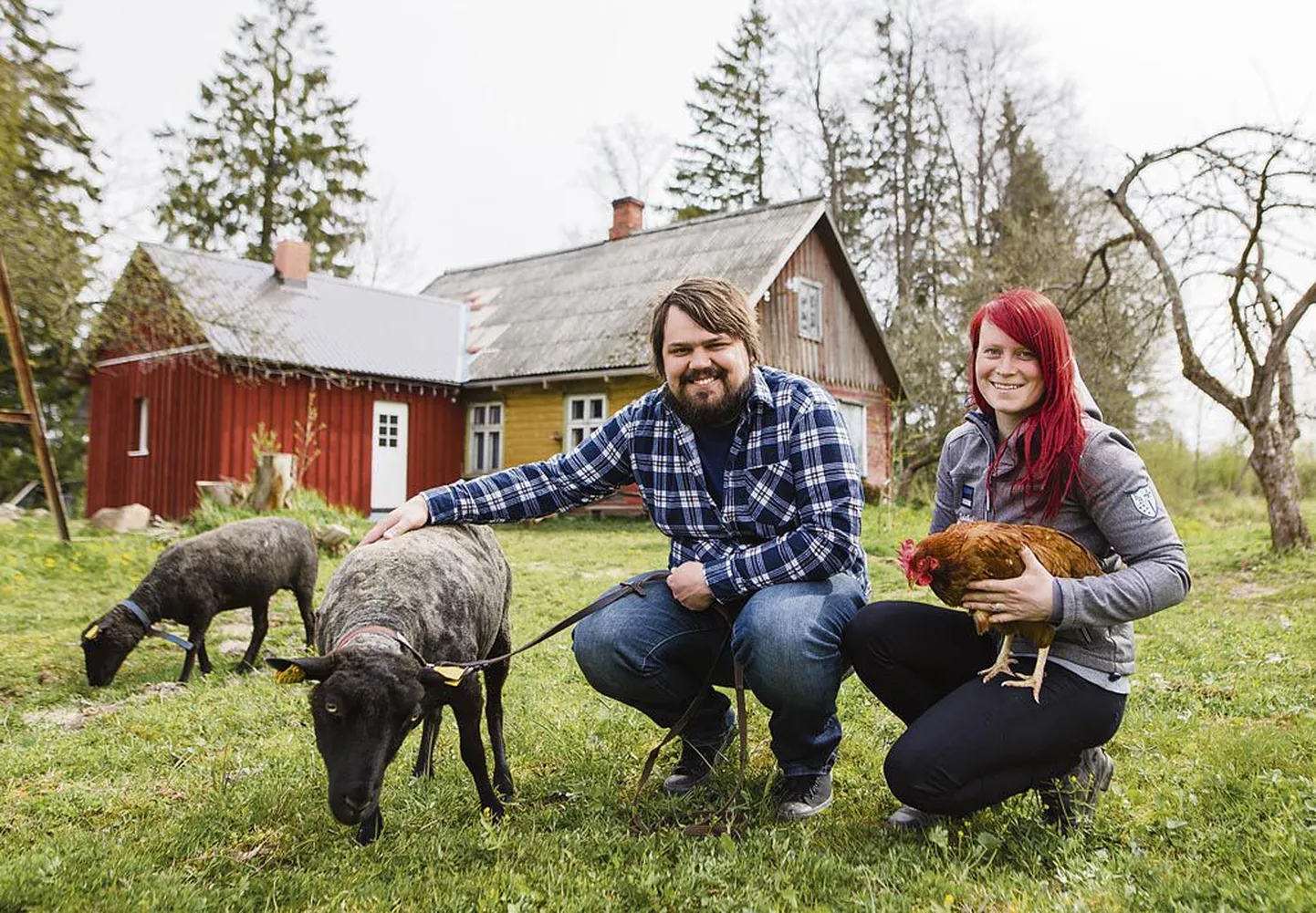 Noored talupidajad Toomas Vihmann ja Kristhel Vaht naudivad oma loomadega maaelu kogu südamest.