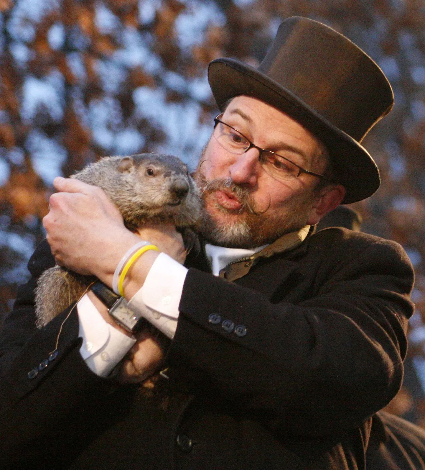 Metsümiseja Punxsutawney Phil