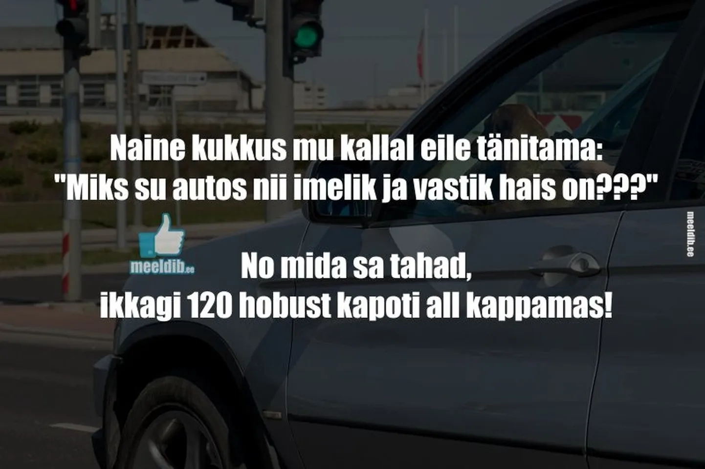 Artikli foto