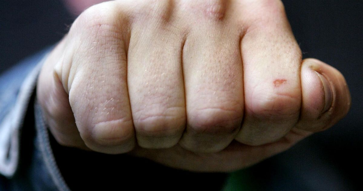 Videviku uulitsal kiskus löömaks