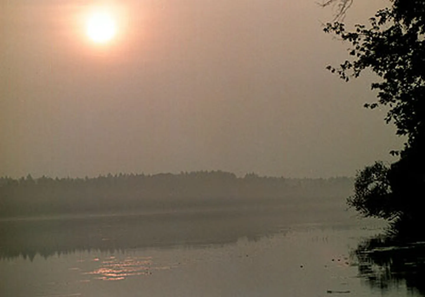 Raksta foto