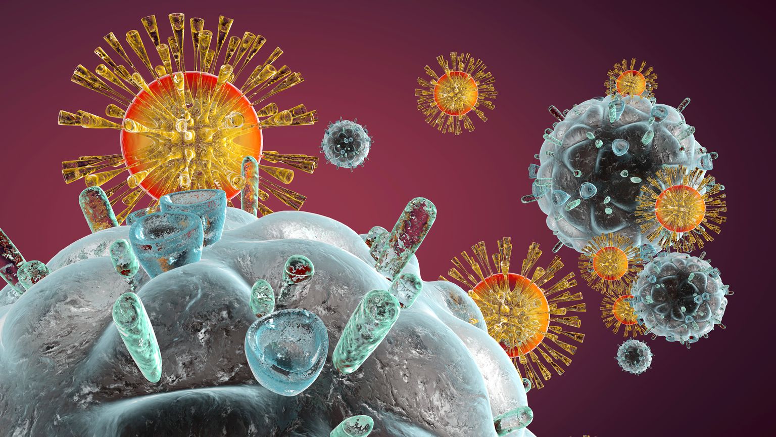 Immuunsüsteemi rakud ründamas HIV-d.