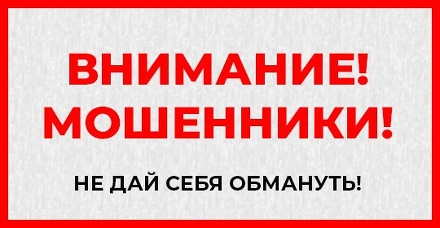Фото статьи